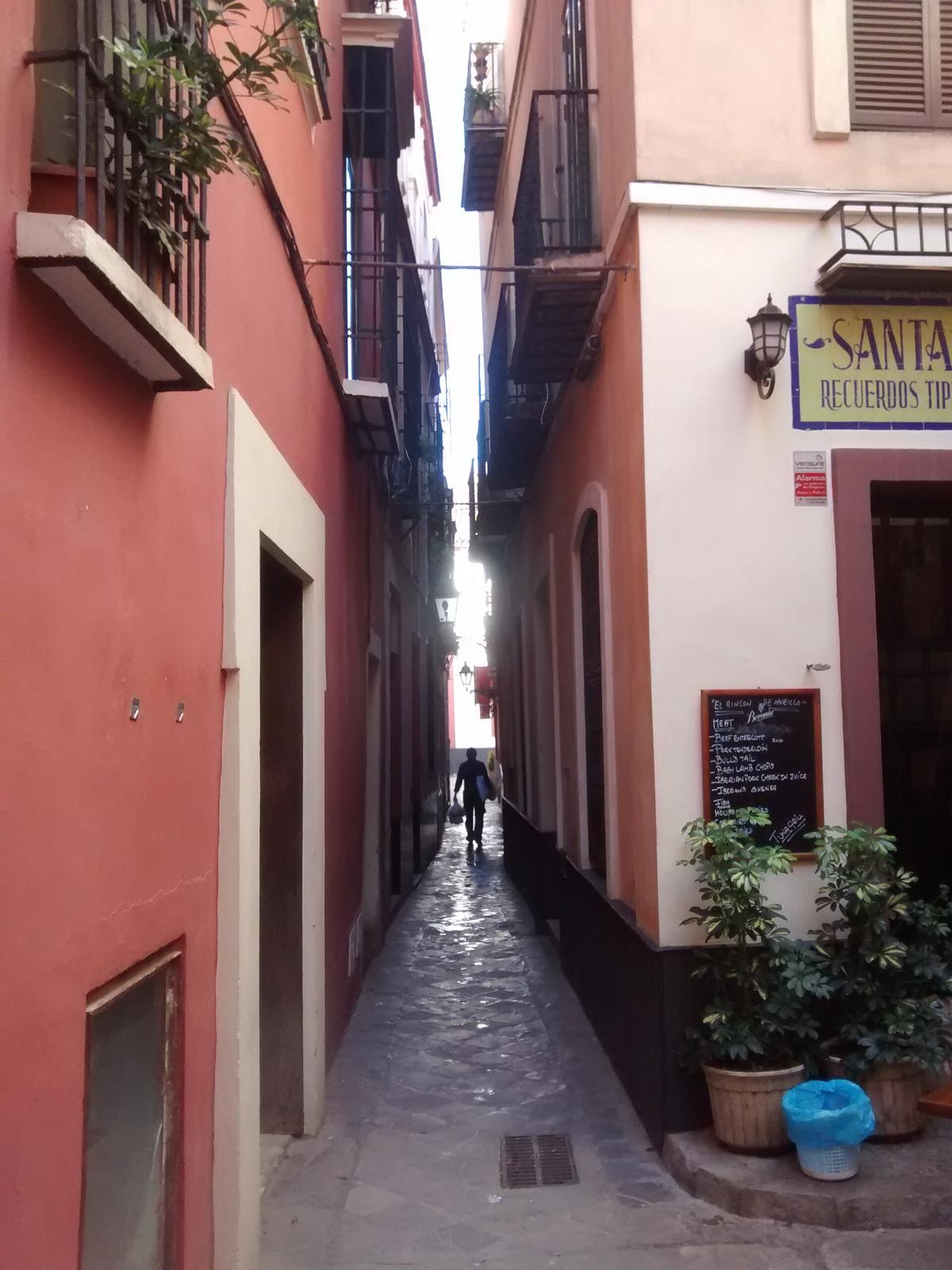 barrio de Santa Cruz callejón